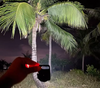 Image of 800LM LED Pocket Keychain Torch-Lamp by Wolph