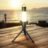 Image of Reiset 300LM Convertible Torchlight Lamp by Wolph